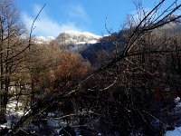 2021-01-12 Monte Pellecchia 101